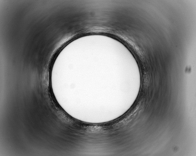X0000103461317200810101141