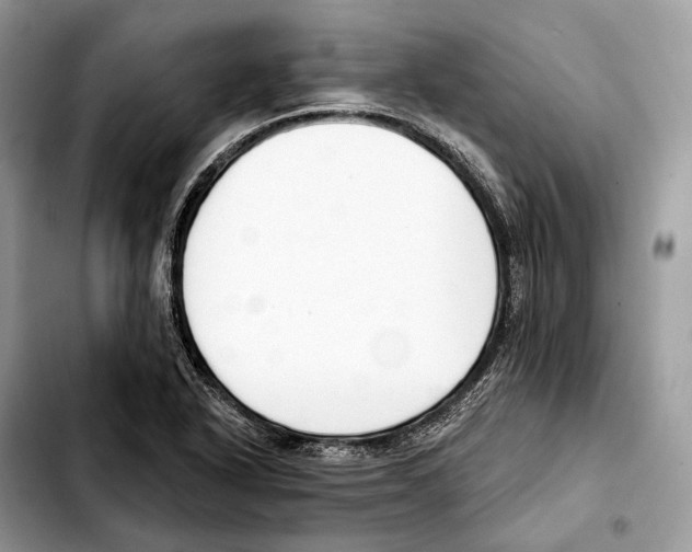 X0000103461318200810101141