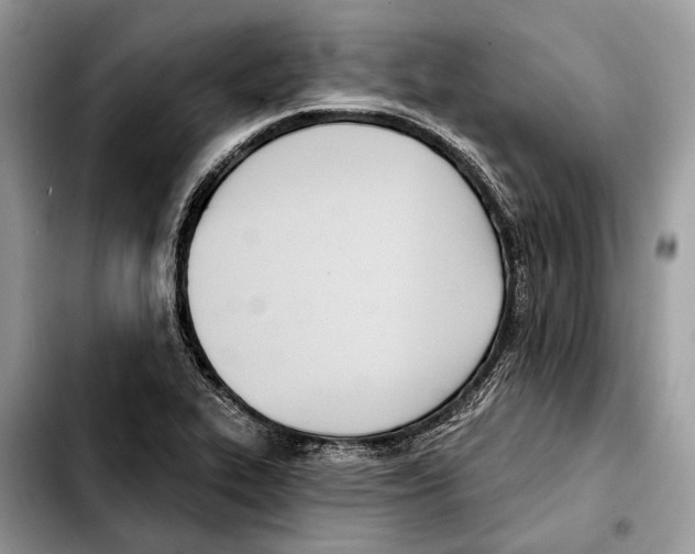 X0000103461319200810101141