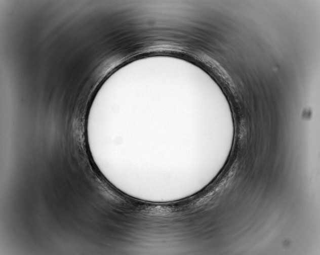 X0000103461321200810101141