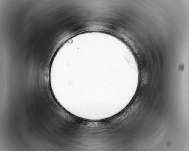 X0000103461322200810101141