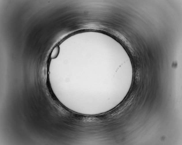 X0000103461323200810101141