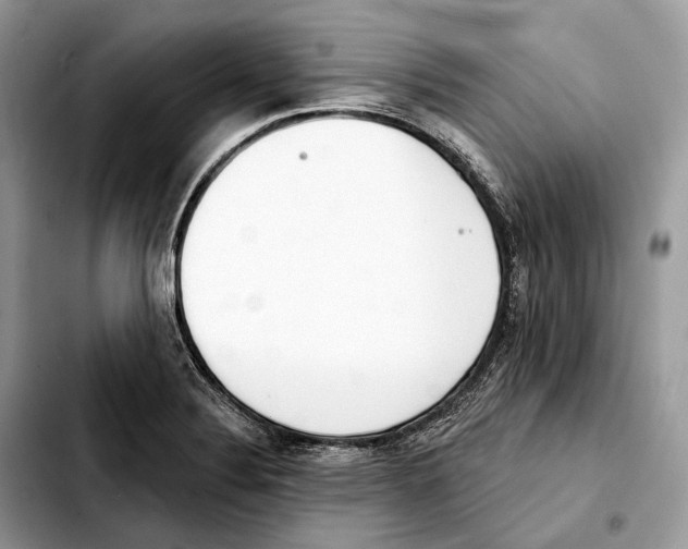 X0000103461324200810101141