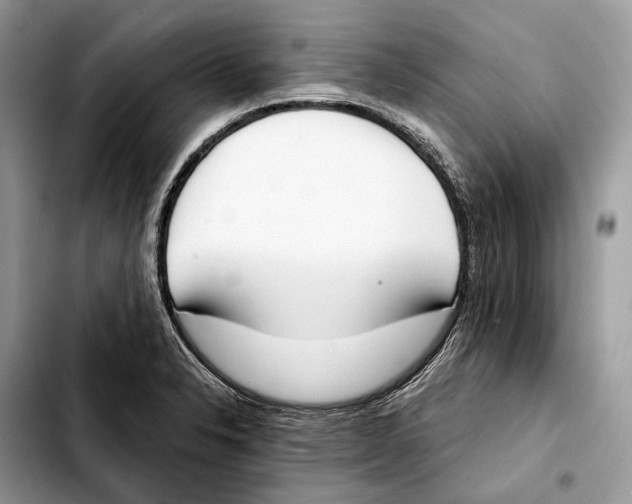 X0000103461326200810101141