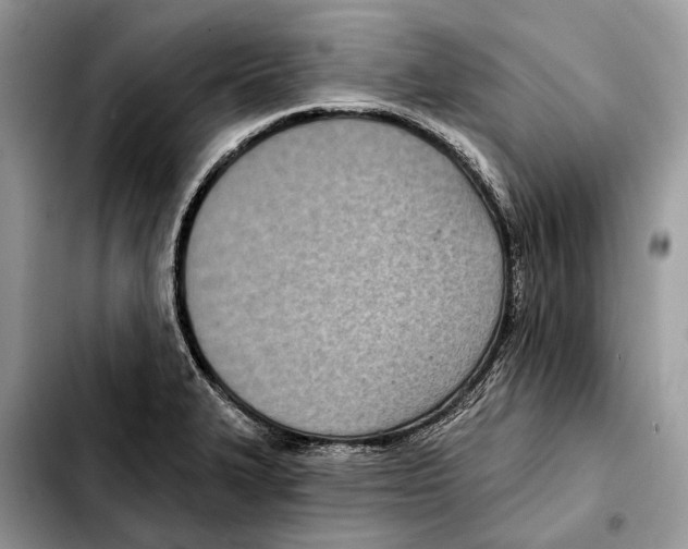 X0000103461327200810101141