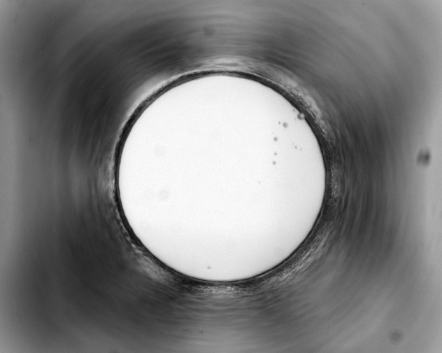 X0000103461328200810101141