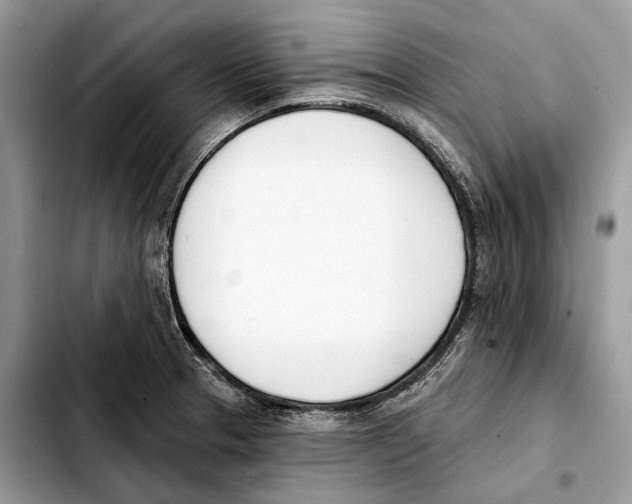X0000103461329200810101141