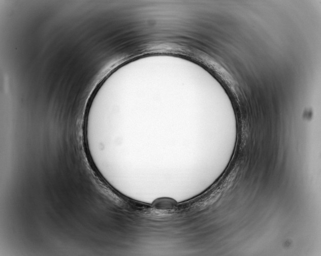 X0000103461330200810101141