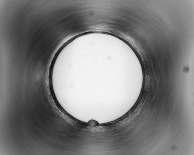 X0000103461331200810101141