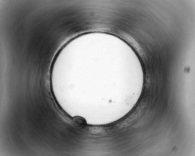X0000103461332200810101141