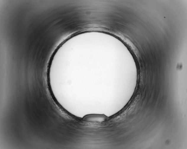 X0000103461333200810101141