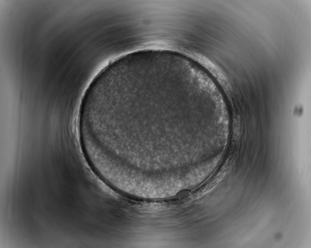 X0000103461334200810101141