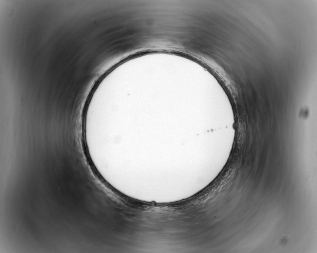 X0000103461335200810101141