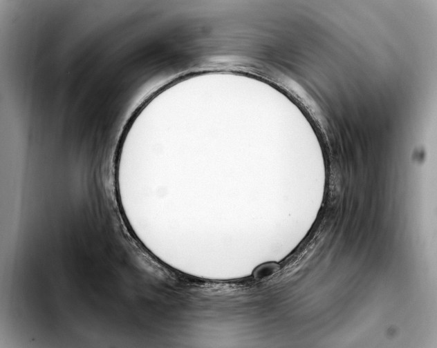 X0000103461336200810101141