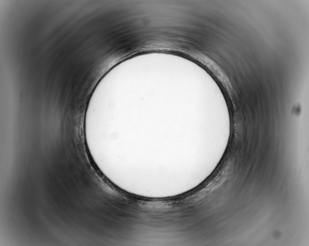 X0000103461337200810101141
