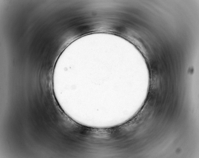 X0000103461338200810101141