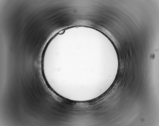 X0000103461339200810101141