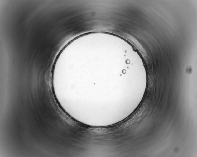 X0000103461340200810101141