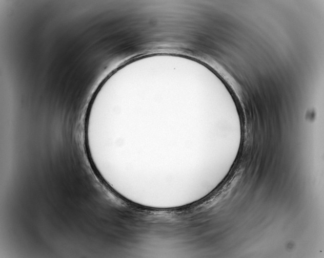 X0000103461341200810101141