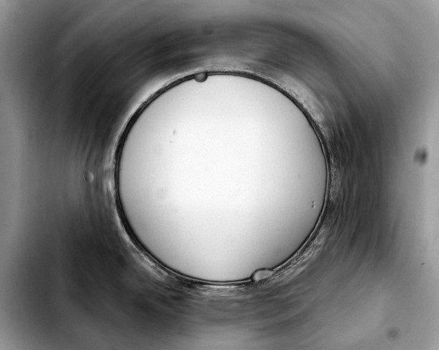 X0000103461342200810101141