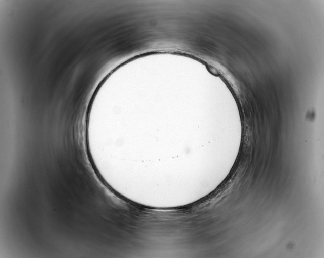X0000103461343200810101141