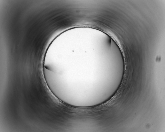 X0000103461344200810101141