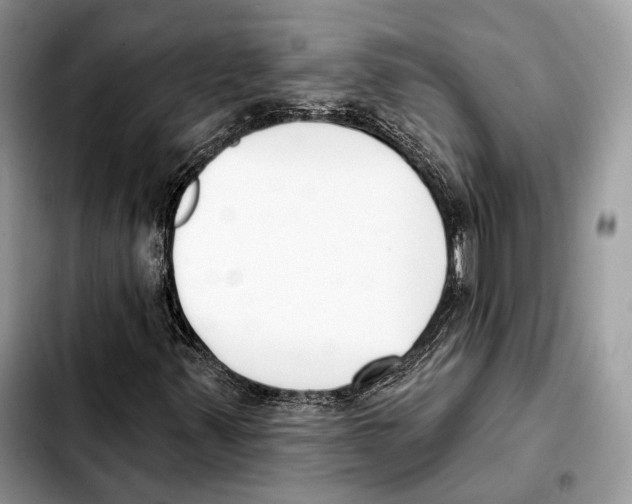 X0000103461347200810101141