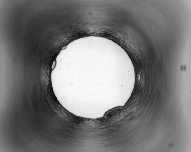 X0000103461348200810101141
