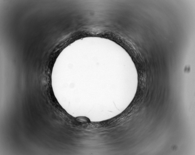 X0000103461349200810101141