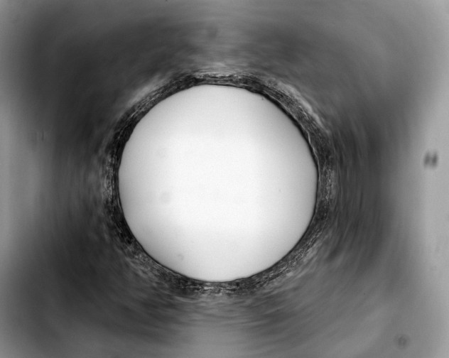 X0000103461350200810101141