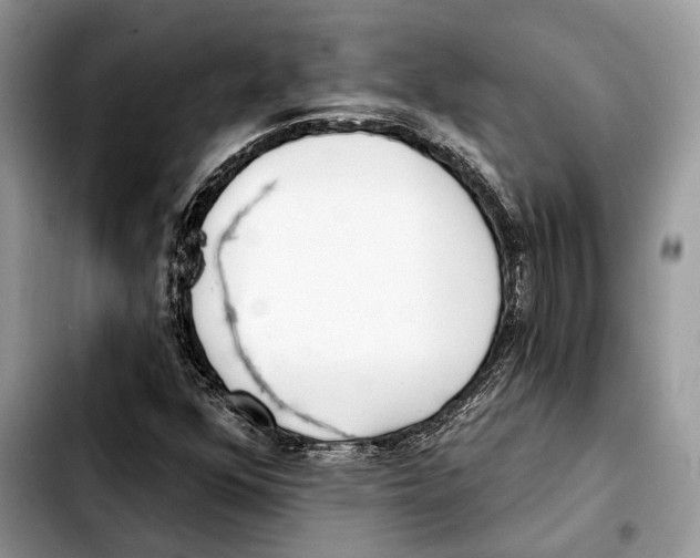 X0000103461352200810101141