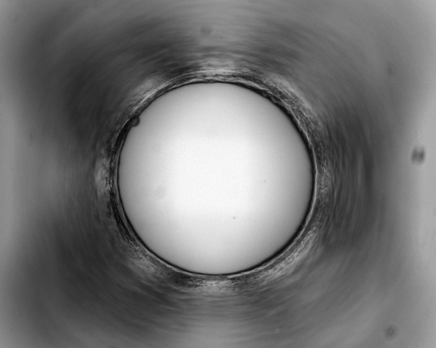 X0000103461353200810101141