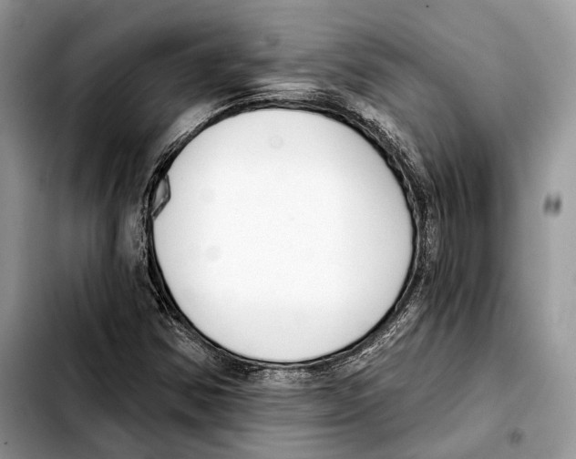 X0000103461354200810101141