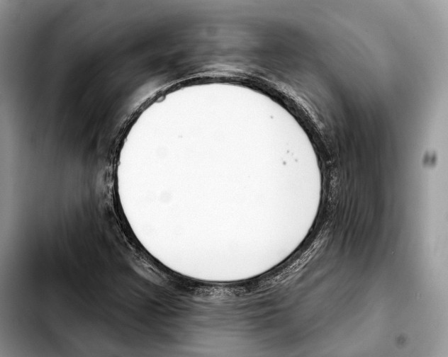 X0000103461355200810101141