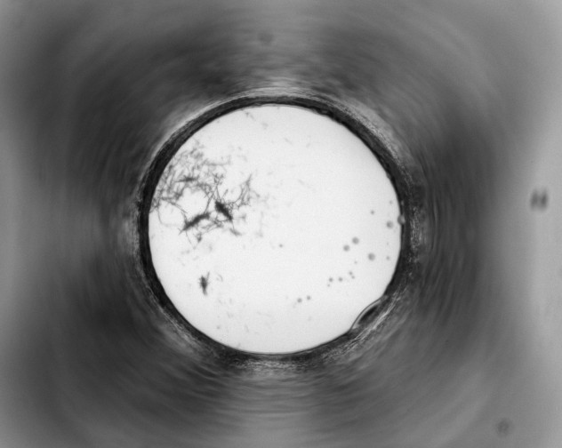 X0000103461356200810101141