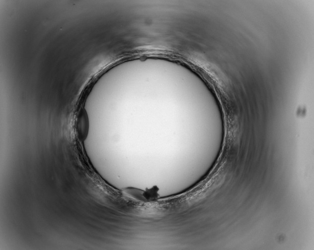 X0000103461357200810101141