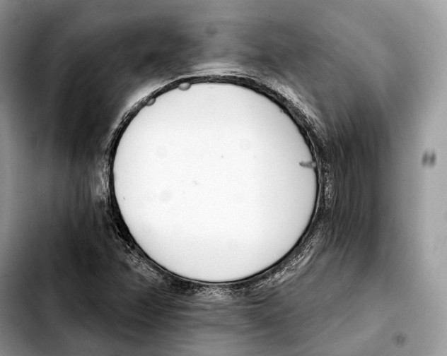 X0000103461358200810101141