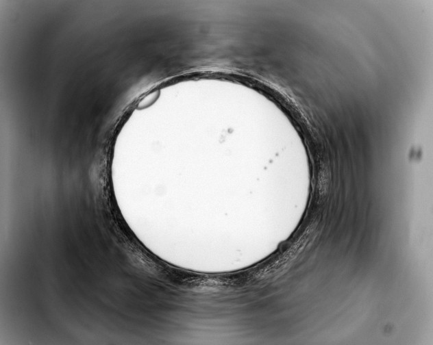 X0000103461359200810101141