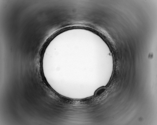 X0000103461360200810101141