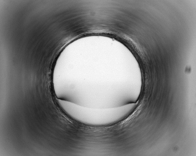 X0000103461361200810101141