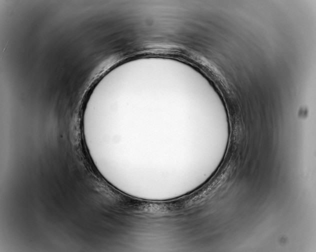 X0000103461362200810101141