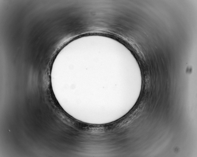 X0000103461363200810101141