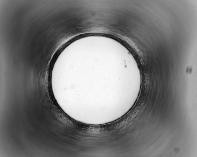 X0000103461364200810101140