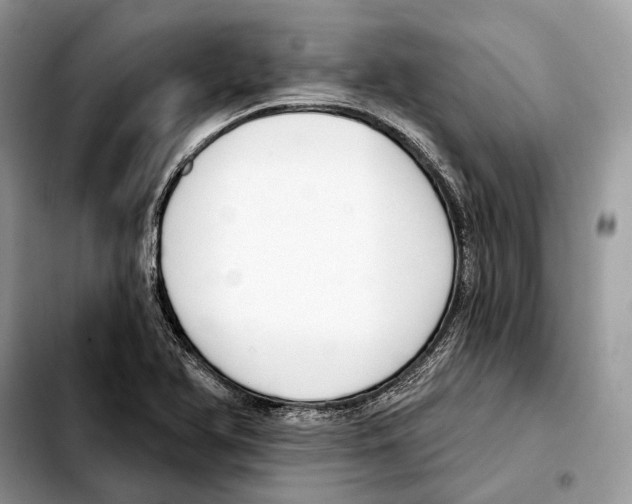 X0000103461366200810101140