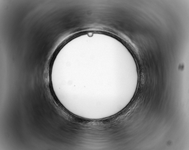 X0000103461368200810101140