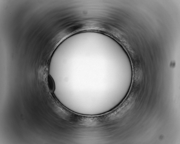 X0000103461369200810101140