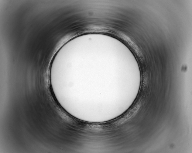 X0000103461370200810101140