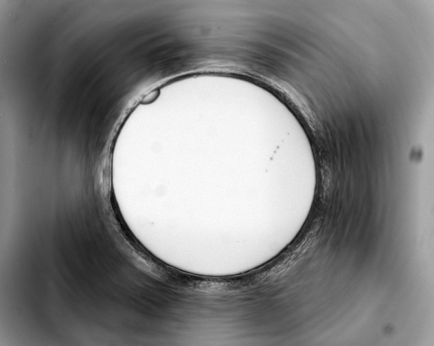 X0000103461371200810101140