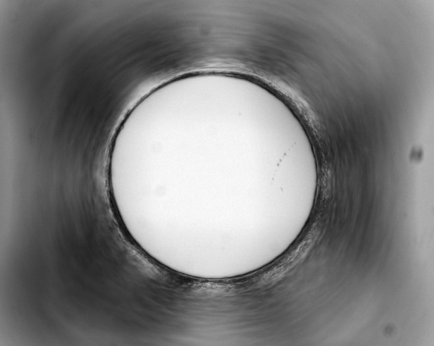 X0000103461374200810101140