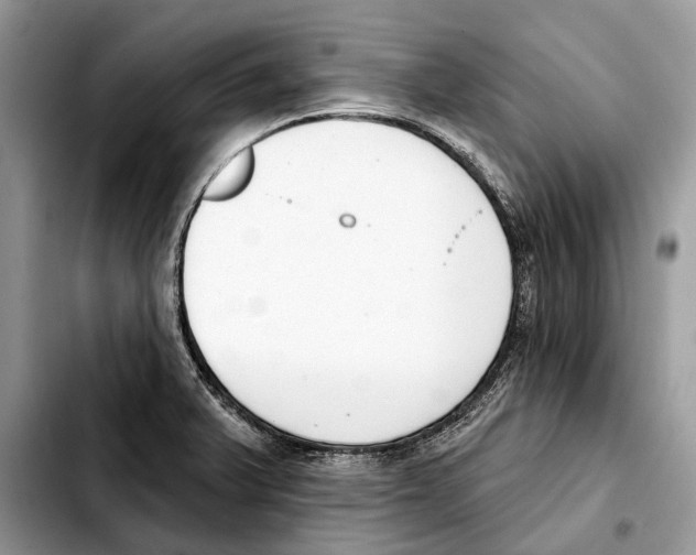 X0000103461375200810101140